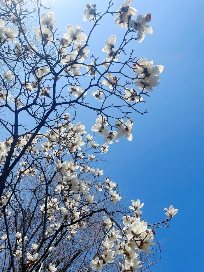 KY开云官网-宁波现树上羽毛球奇观引网友晒图|浙江队|浙江省|宁波市|宁波同城|浙江_新浪体育_新浪新闻